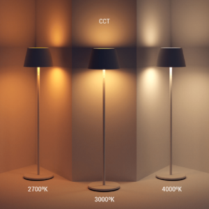 VK - CINNI XXL - Imagen 3